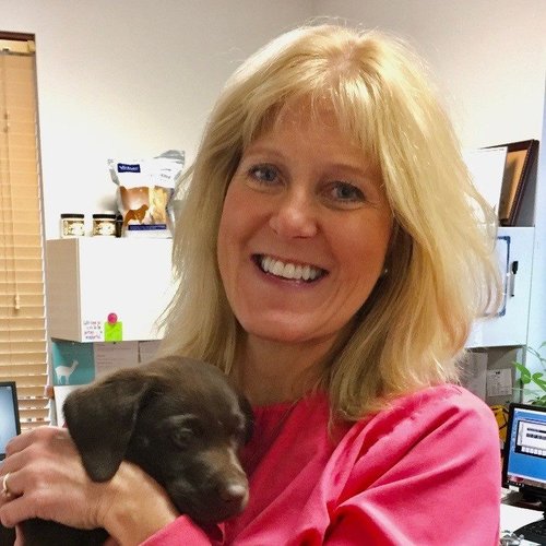 Diane Bergstrom, DVM
