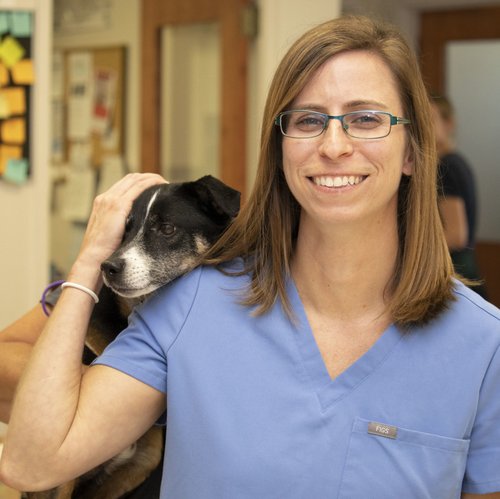 Susan Turner, VMD