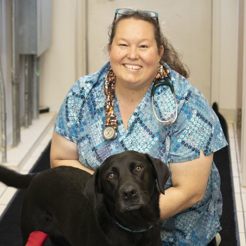 Wendy Swift, DVM